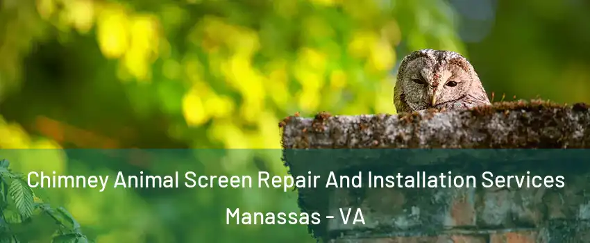  Chimney Animal Screen Repair And Installation Services Manassas - VA