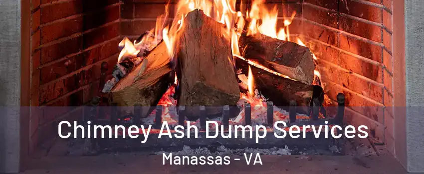  Chimney Ash Dump Services Manassas - VA