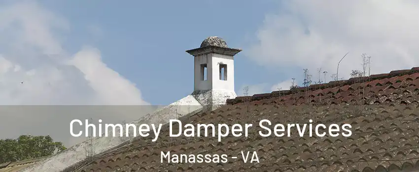  Chimney Damper Services Manassas - VA