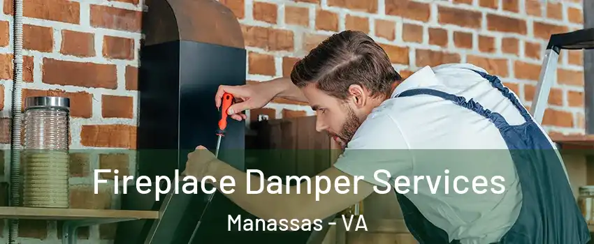  Fireplace Damper Services Manassas - VA