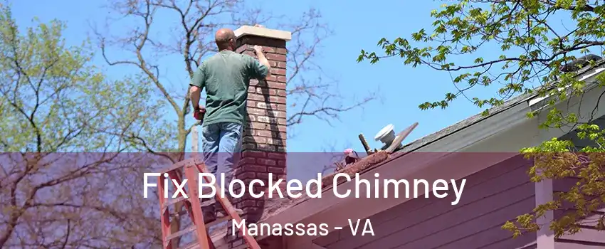  Fix Blocked Chimney Manassas - VA