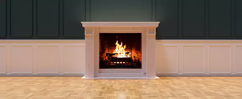 Napoleon Electric Fireplaces Inspection Service in Manassas, Virginia