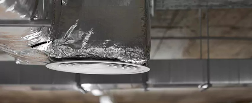 Signs of Dust Accumulation in Vents in Manassas, VA