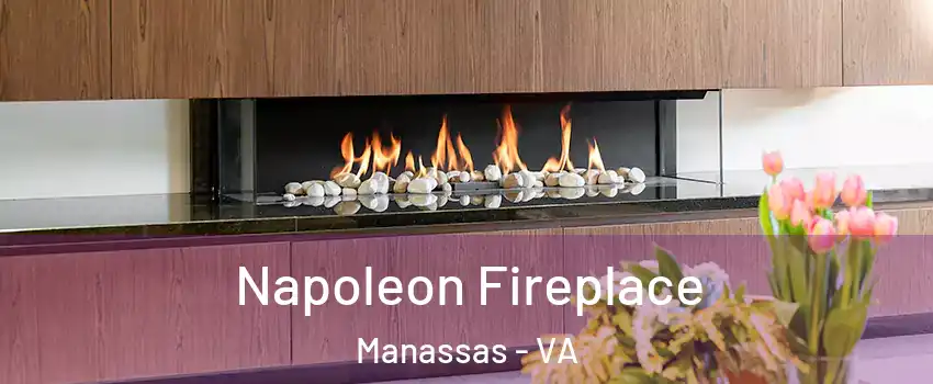  Napoleon Fireplace Manassas - VA