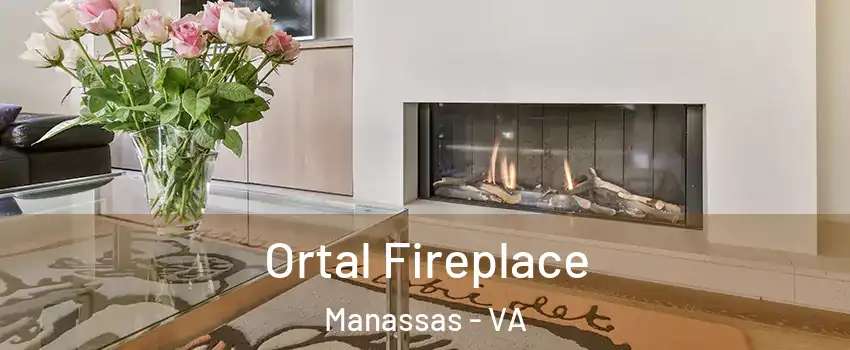 Ortal Fireplace Manassas - VA